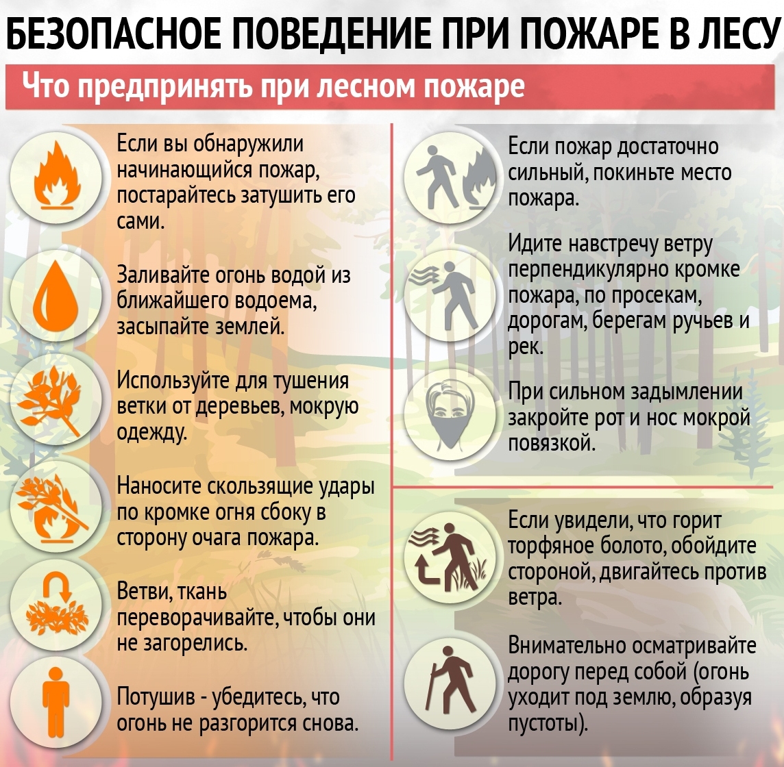 pozar_les_file_1525758603.jpg