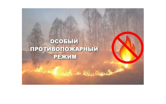 ВНИМАНИЕ! Особый противопожарный режим с 25 апреля по 12 мая 2025 года